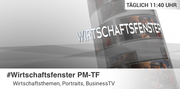 Wirtschaftsfenster in PM und TF